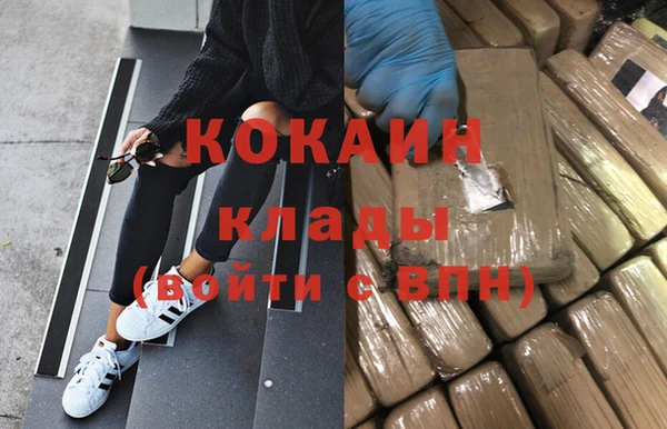 кокс Алексин