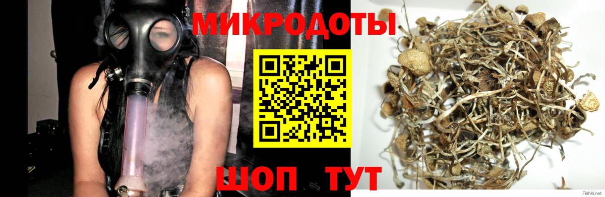 Миасс  Псилоцибиновые грибы прущие грибы  дарнет шоп  Вход с VPN 